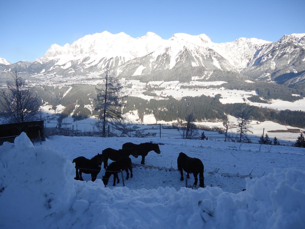 Asingerhof Schladming Exterior photo
